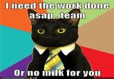 Business Cat