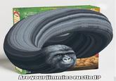 That Really Rustled My Jimmies