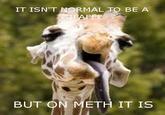 X isn't normal, but on Meth it is