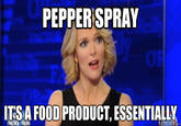 Megyn Kelly Essentially