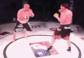 Mixed Martial Arts