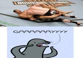 Homophobic Seal