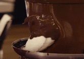Chocolate Bird