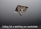 Image Macros