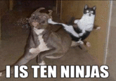 Image Macros