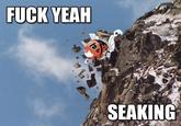 Fuck Yeah Seaking