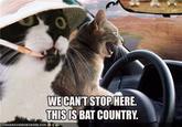 We Can't Stop Here, This is Bat Country