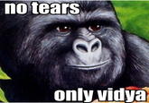 That Really Rustled My Jimmies