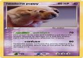Headache Puppy