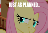 "Just As Planned"
