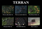 What People Think I Do / What I Really Do