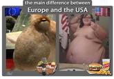 The Main Difference Between Europe and USA