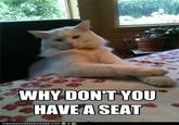 Chris Hansen Cat