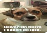 Picture Unrelated