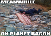 Bacon