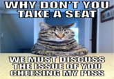 Chris Hansen Cat