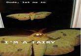 Dude! Let me in! I'm a fairy!