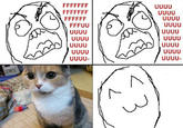 Peter the Cat (The King of /b/)