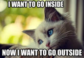 First World Problems Cat