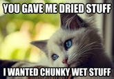 First World Problems Cat