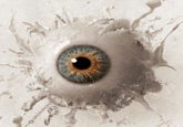 Wigglegrams