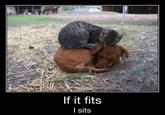 If It Fits I Sits