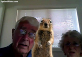 Crasher Squirrel