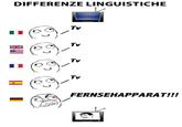 Differenze Linguistiche