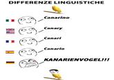 Differenze Linguistiche