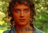 Jersey Shore