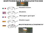 Differenze Linguistiche