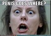 Penis Goes Where/Cock goes where