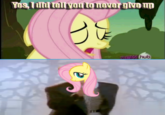 My Little Pony: Friendship is Magic