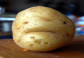 Things With Faces