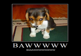 Baww