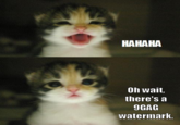 9gag