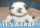 It's A Trap!