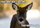 That's just like, your opinion, man