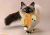 My Little Pony: Friendship is Magic