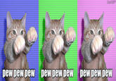 Pew Pew