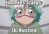 That Really Rustled My Jimmies