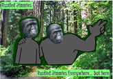 That Really Rustled My Jimmies