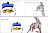 Dolan
