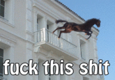 bee.gif