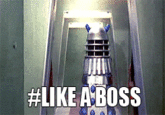 Like A Boss