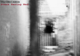 Make Your Own Album Cover