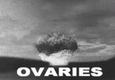 OVARIES