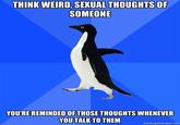 Socially Awkward Penguin
