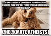 Checkmate, Atheists