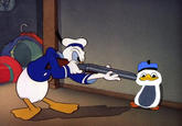 Dolan